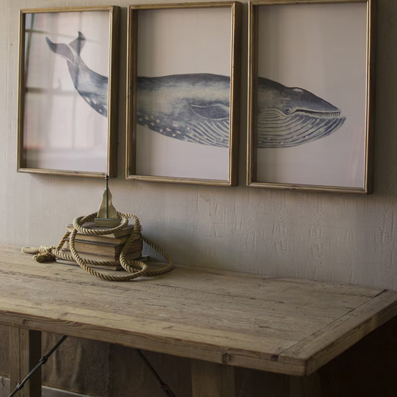 Framed Whale Triptych Print Under Glass